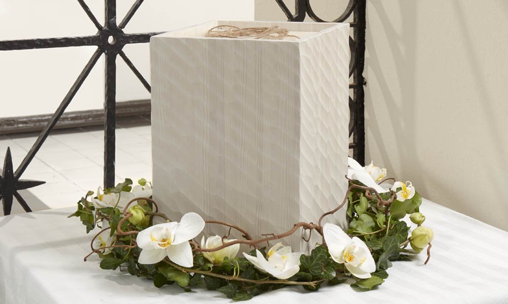Valkoinen Phalaenopsis-orkidea, peikonpähkinän oksia